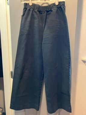 Elizabeth Suzann organic cotton canvas Florence wide leg pants (tall)